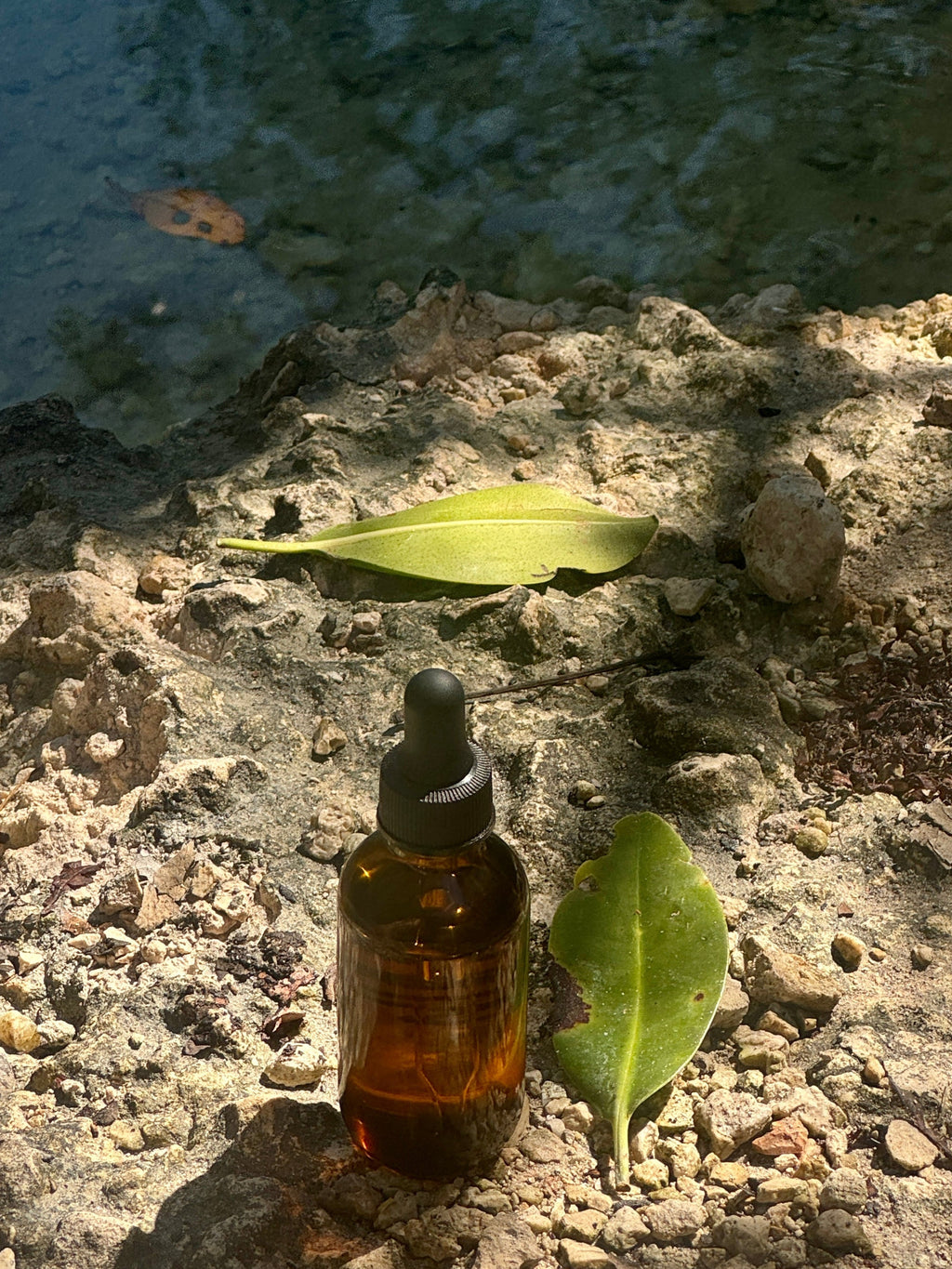Sun Veil Body Oil