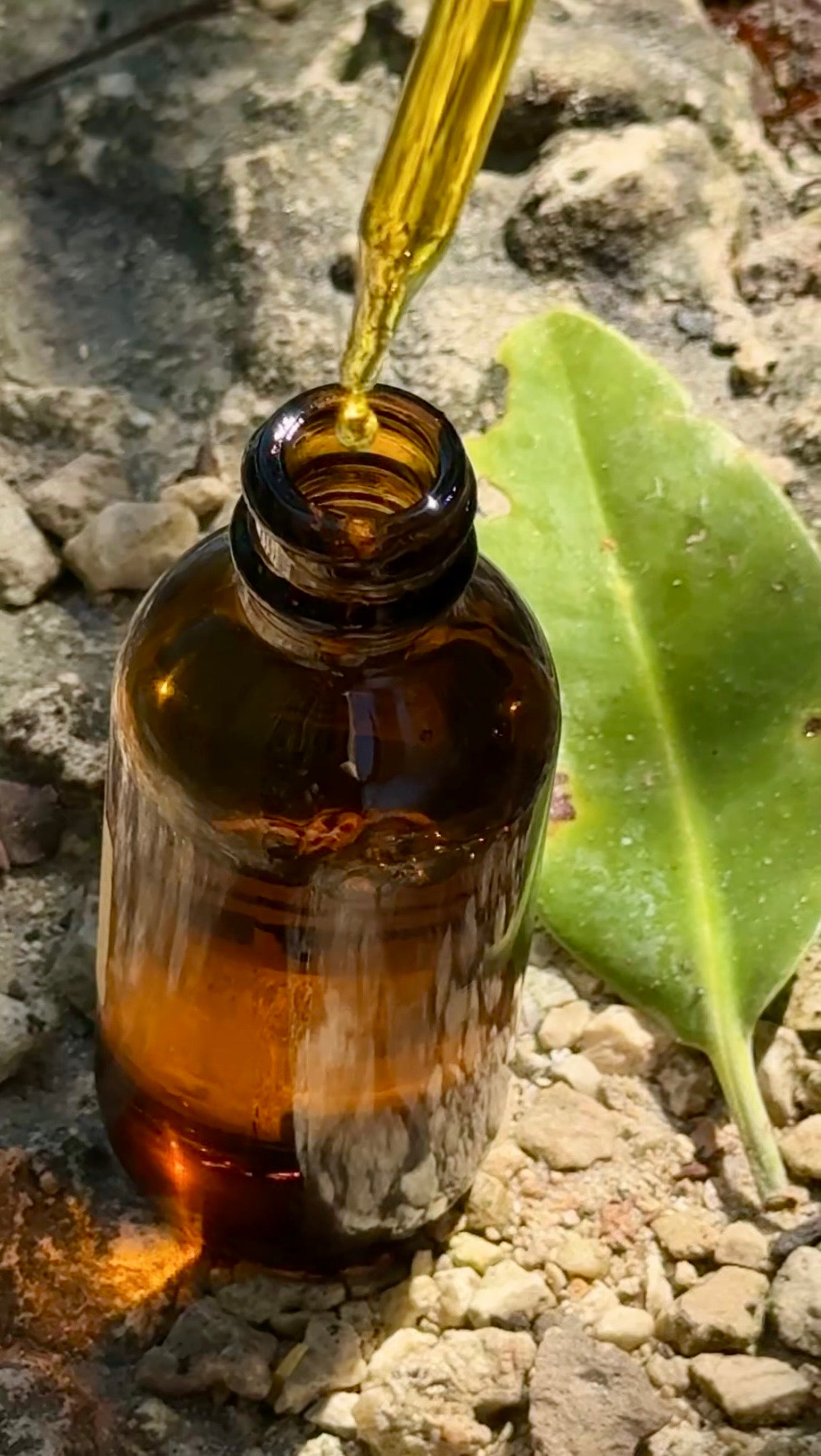 Sun Veil Body Oil